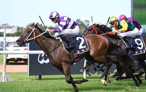 Rosehill Guineas 2025 Field, Tips, Odds, Betting, Results.